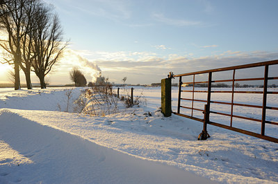 BUITEN BEELD Foto: 112334