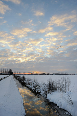 BUITEN BEELD Foto: 112336