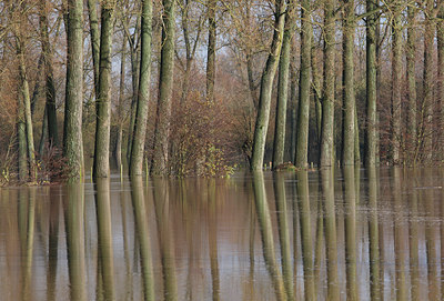 BUITEN BEELD Foto: 112360