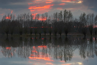 BUITEN BEELD Foto: 112363