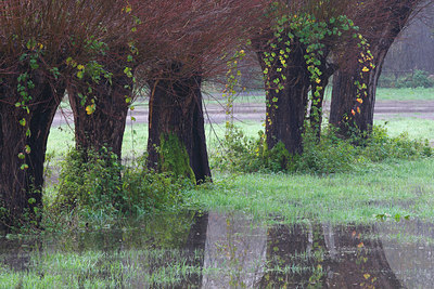 BUITEN BEELD Foto: 112365