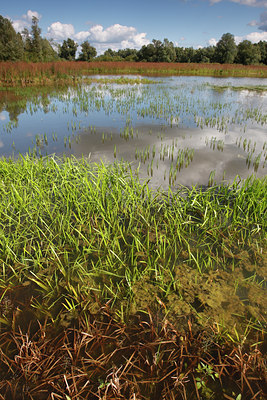 BUITEN BEELD Foto: 112366