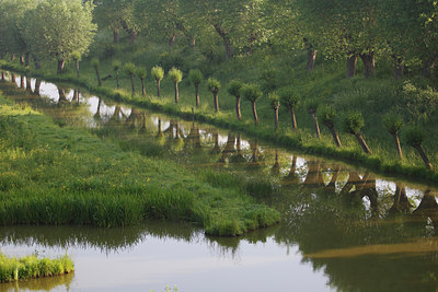 BUITEN BEELD Foto: 112375