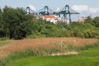 BUITEN BEELD Foto: 112392