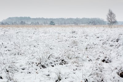 BUITEN BEELD Foto: 112399