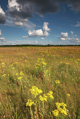 BUITEN BEELD Foto: 112402