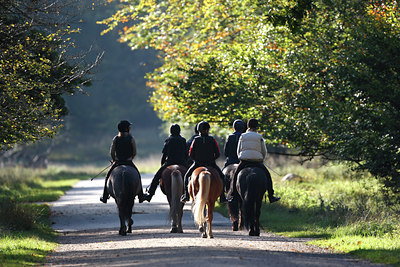 BUITEN BEELD Foto: 112412