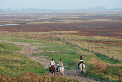 BUITEN BEELD Foto: 112419