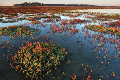BUITEN BEELD Foto: 112505