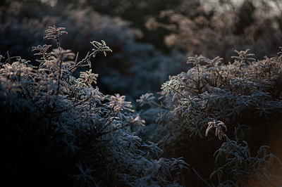 BUITEN BEELD Foto: 112548