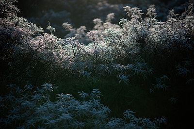 BUITEN BEELD Foto: 112552