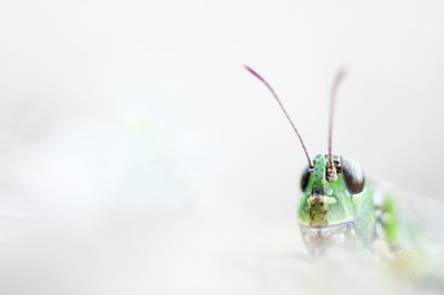 BUITEN BEELD Foto: 112554