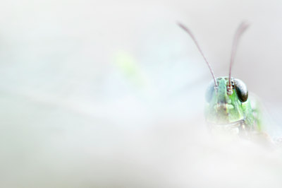 BUITEN BEELD Foto: 112555