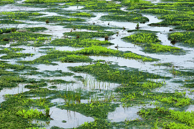 BUITEN BEELD Foto: 112557