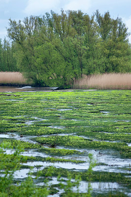 BUITEN BEELD Foto: 112559