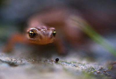 BUITEN BEELD Foto: 112571