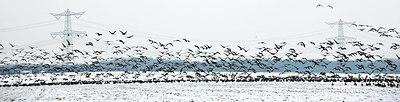 BUITEN BEELD Foto: 112611