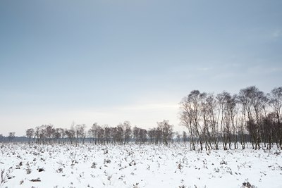 BUITEN BEELD Foto: 112621