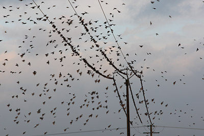 BUITEN BEELD Foto: 112647