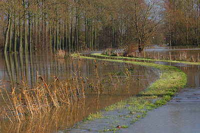 BUITEN BEELD Foto: 112657