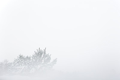 BUITEN BEELD Foto: 112672