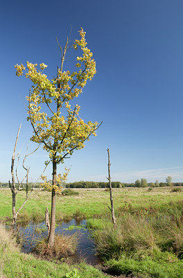 BUITEN BEELD Foto: 112680