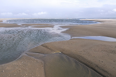 BUITEN BEELD Foto: 112712