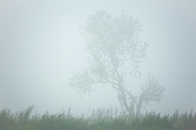 BUITEN BEELD Foto: 112714