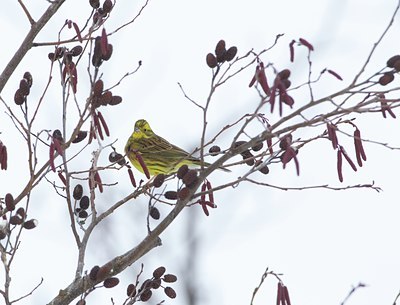 BUITEN BEELD Foto: 112716