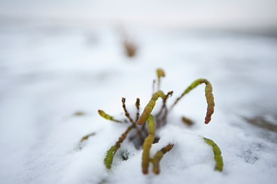 BUITEN BEELD Foto: 112725