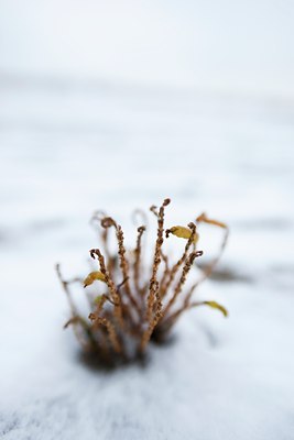 BUITEN BEELD Foto: 112728