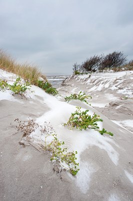 BUITEN BEELD Foto: 112740