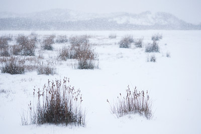 BUITEN BEELD Foto: 112788