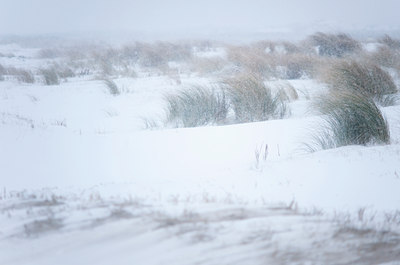 BUITEN BEELD Foto: 112792