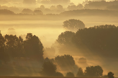 BUITEN BEELD Foto: 112835