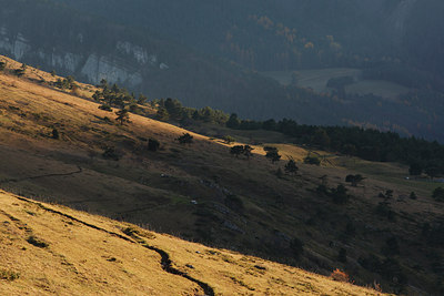 BUITEN BEELD Foto: 112845