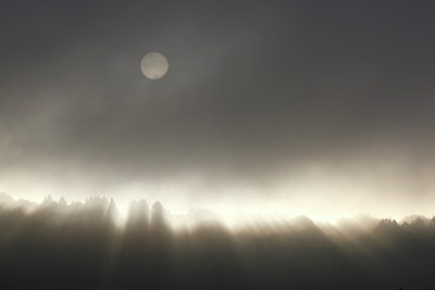 BUITEN BEELD Foto: 112846