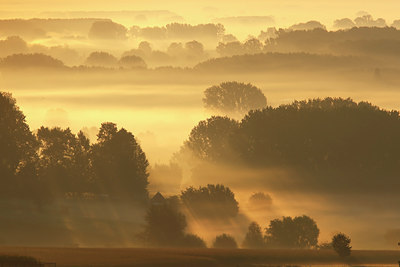 BUITEN BEELD Foto: 112852