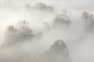 BUITEN BEELD Foto: 112854