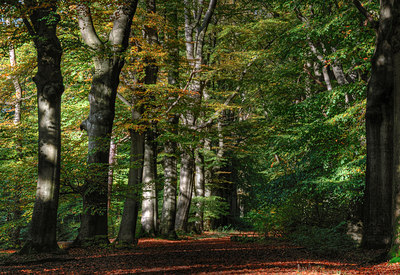 BUITEN BEELD Foto: 112879