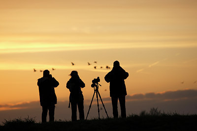 BUITEN BEELD Foto: 112918