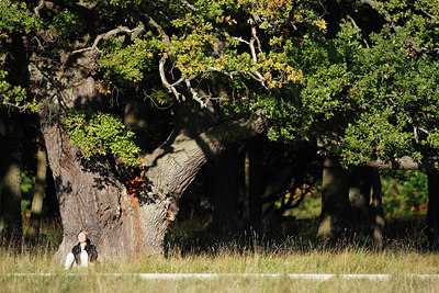 BUITEN BEELD Foto: 112919
