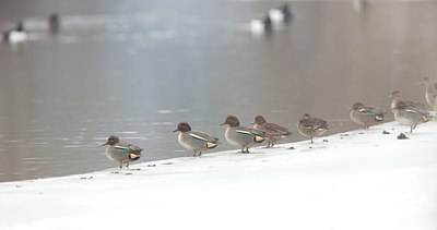 BUITEN BEELD Foto: 112926