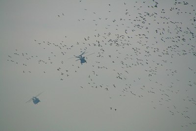 BUITEN BEELD Foto: 112961