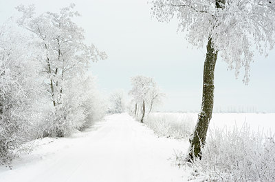 BUITEN BEELD Foto: 112997
