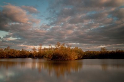 BUITEN BEELD Foto: 113025
