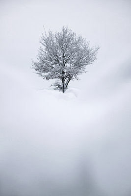 BUITEN BEELD Foto: 113149