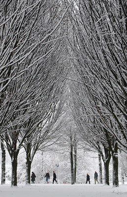 BUITEN BEELD Foto: 113162