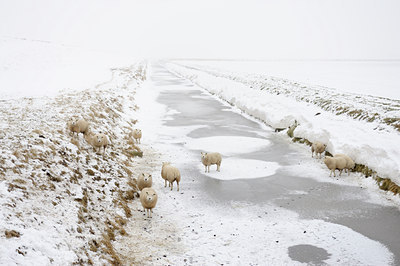 BUITEN BEELD Foto: 113184