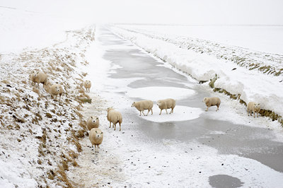 BUITEN BEELD Foto: 113186